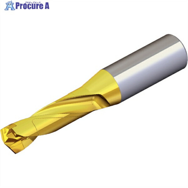 TAEGUTEC 刃先交換式ドリルホルダー ドリルラッシュ TCD 210-219-25S0-3D 1本 ▼440-6324 34,622円