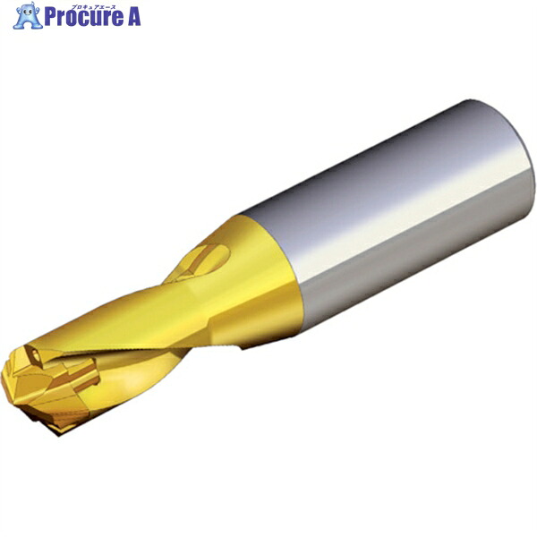 TAEGUTEC 刃先交換式ドリルホルダー ドリルラッシュ TCD 060-064-12S0-1.5D 1本 ▼440-7974 |プロキュアエース