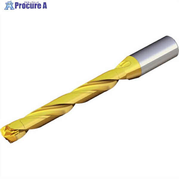 TAEGUTEC 刃先交換式ドリルホルダー ドリルラッシュ TCD 145-149-16S0-8D 1本 ▼440-7983 33,522円