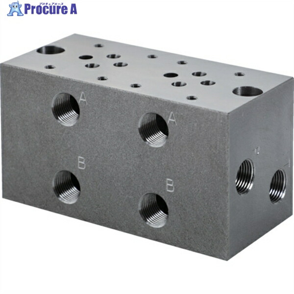 TRUSCO マニホールドブロック T-MBW6 1個 ▼256-5738