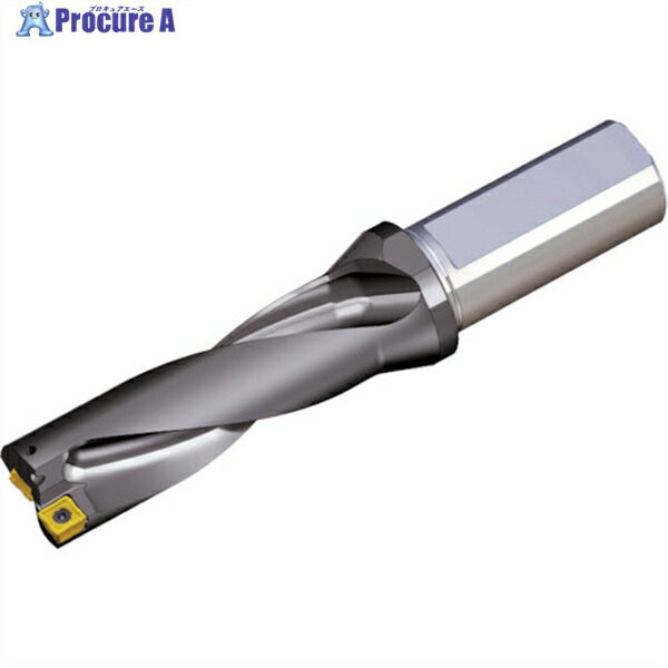 TAEGUTEC 刃先取り替えっこ式せん孔機保持者 とっ始めせん孔機 TOP 3390-40T2-13 1本 ▼440-3191