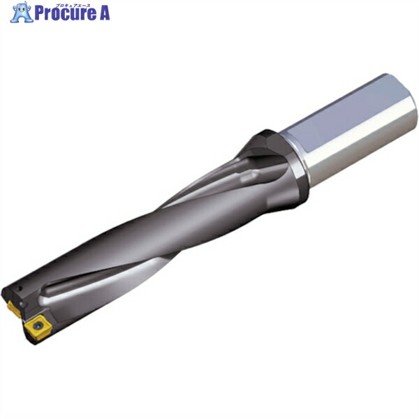 TAEGUTEC 刃先取り替えっこ式せん孔機保持者 とっ始めせん孔機 TOP 4235-32T2-08 1本 ▼440-6428