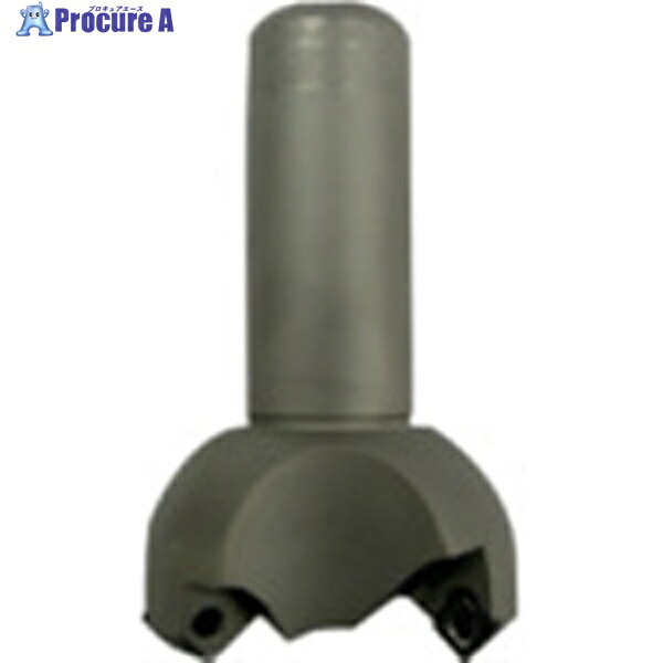 富士元 フライス手道具 NEW Tikoかったぁ シャンクφ32 製作径φ80 TKN32-80S-03 1台 ▼796-8574