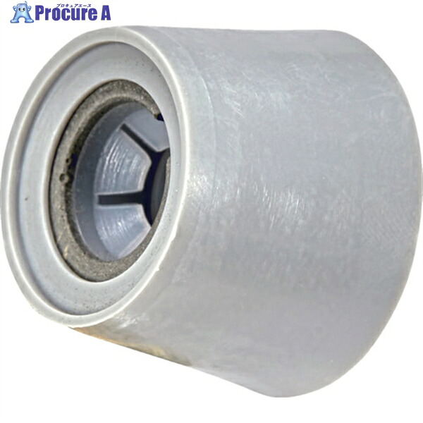 TRUSCO Pコン穴埋素早さコン(素早さコン100個入・ブチルシール1本付)W3/8用 TSP-V2-30 1S ▼363-2355