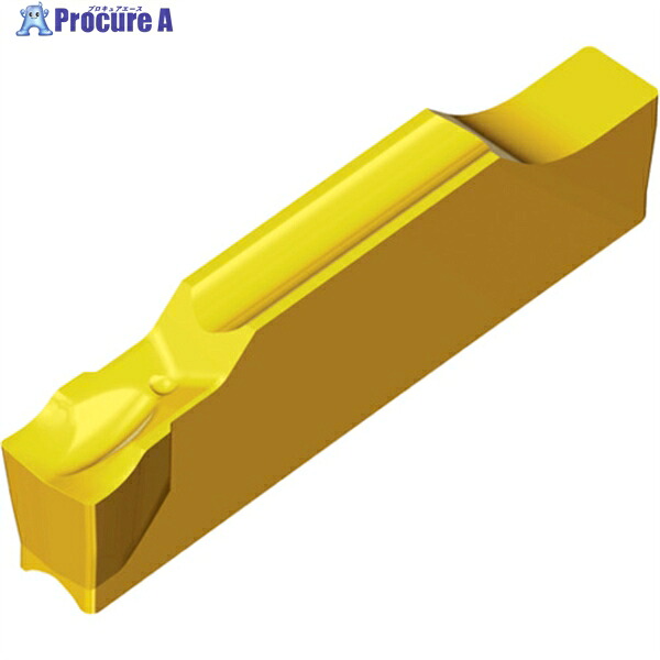 TAEGUTEC 突切・溝入用チップ T‐クランプ TSJ 3 TT9080 10個 ▼446-4115
