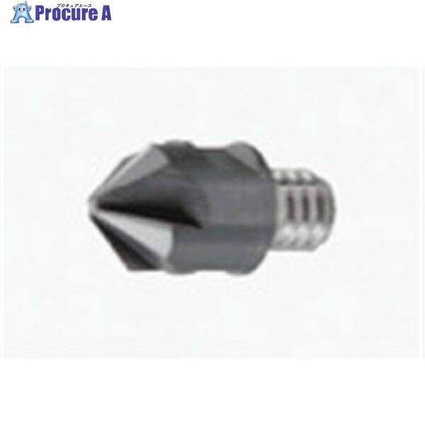 タンガロイ タング・マイスター用ヘッド 面取り加工用 VCA AH725 VCA100L04.0A45-04S06 AH725 2個 ▼702-3383 ●MA515