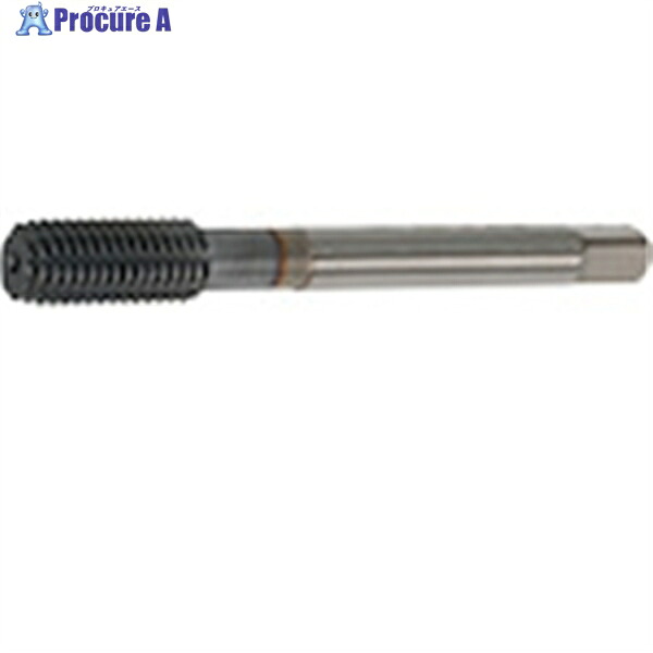 田野井製作所 ダブルタフレット M12X1.75 1C10 47867 W-TFM12X1.751C10 1本 ▼559-8308