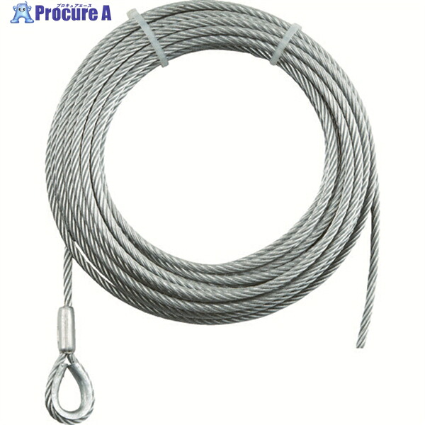 TRUSCO 手動轆轤用針金Φ6×40M用(シンブル入り口・入口鍵を掛ける製造) WWS6-40 1本 ▼767-3621 その他-DIY・工具-花・ガーデン・DIY