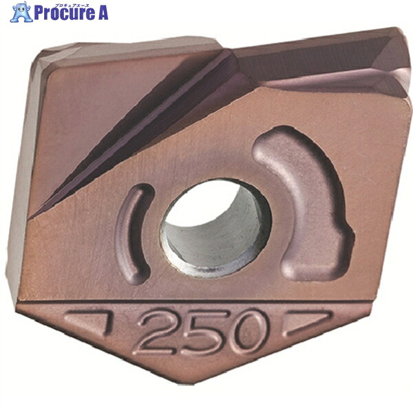 MOLDINO カッタ用チップ ZCFW250-R3.0 PCA12M PCA12M ZCFW250-R3.0 PCA12M 2個 ▼429-8128
