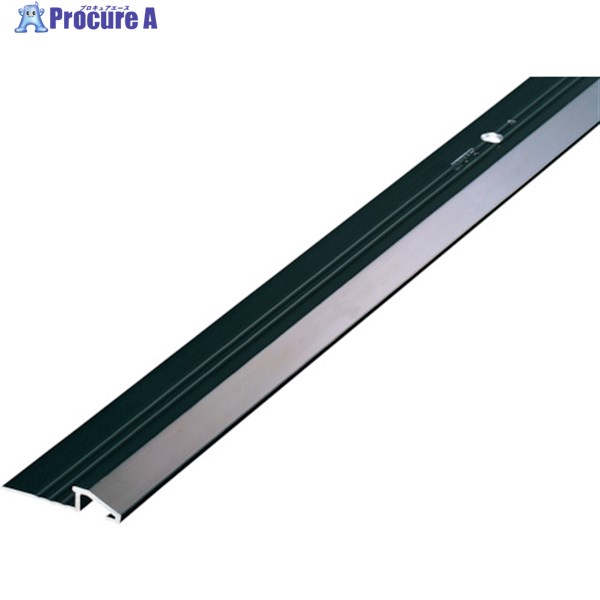 ASSIST 床金物ディバイドエッジ 穴あり ブラック 定尺2M 20-410BL22 1本 ◇▼262-9296 ※車上渡し