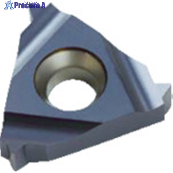 NOGA Carmexねじ切り用チップ 仕上げ刃なし 16×1.75-3.0 14-8山×60° 16IRG60BMA 10個 ▼403-4945