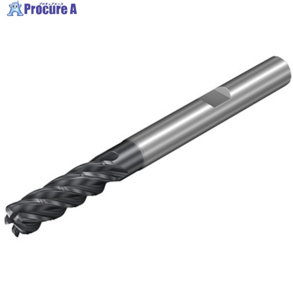 SANDVIK コロミルDura押し並べて製造用超硬エンドミル(732) 1730 1K365-1000-200-XD  1730 1本 ▼460-0694  ●KO521 DIY・工具-電動・エア工具用アクセサリー