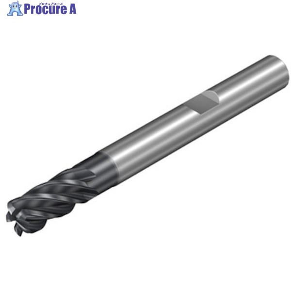 SANDVIK コロミルCoroMill[[R上]]Dura押し並べて産業用超硬エンドミル(732) 1730 1K335-2000-050-XD  1730 1本 ▼461-6444  ●KO521