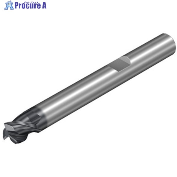 SANDVIK コロミルDura一般加工用超硬エンドミル(732) 1730 1K313-2000-XB 1730 1本 ▼461-8071 ●KO521