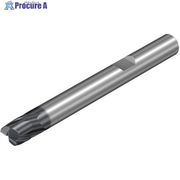 SANDVIK コロミルCoroMill[[R上]]DURA原則として製作用超硬エンドミル(732) 1730 1K212-1170-XB  1730 1本 ▼462-2775  ●KO521