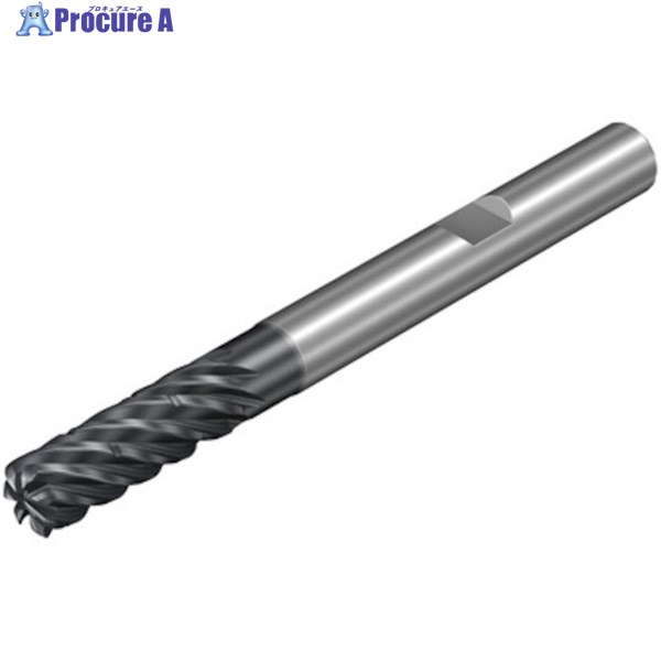 SANDVIK コロミルDura一般加工用超硬エンドミル(732) 1730 1K357-0800-100-XD 1730 1本 ▼462-2800 ●KO521