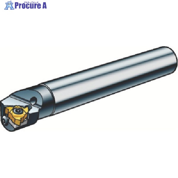 SANDVIK コロスレッド266 ねじ切り突き抜く働き口(480) 266RKF-32-16 (480) 1個 ▼362-5109  ●KO521
