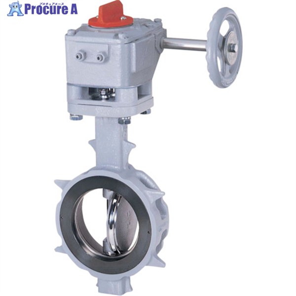 巴 バタフライバルブ JIS10K/80A 304YA-2U SCS13A/SCS13A/R-PTFE ギア 304YA-2U-80-S-R 1台 ▼377-5420 141,672円