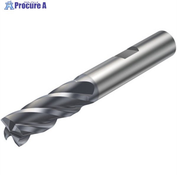 SANDVIK コロミルプルーラ 重切削フライス加工用超硬エンドミル(730) P2BM 2P342-1200-PB P2BM 1個 ▼580-9294 ●KO521