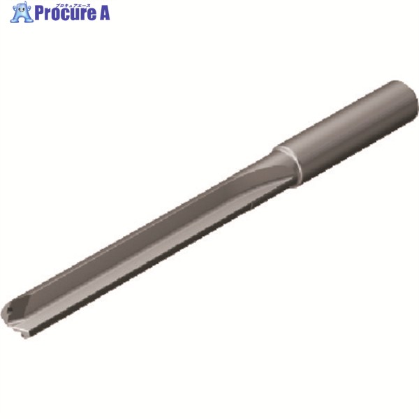 SANDVIK コロドリル400 超硬ソリッドドリル(721) N1BU 400.1-1250-075A1-NM N1BU (721) 1本 ▼161-6152 ●KO521