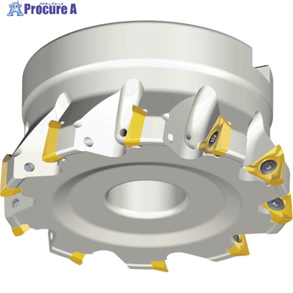 TAEGUTEC ミーリングカッター ミルラッシュ 3P TF90-880-25.4R-15 1本 ▼439-8436