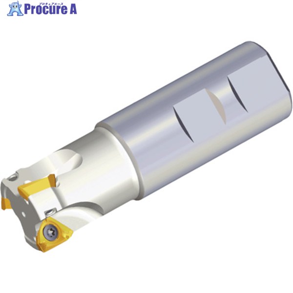 TAEGUTEC ミーリングカッター ミルラッシュ 3P TE90-440-32-10-L200 1本 ▼439-8504