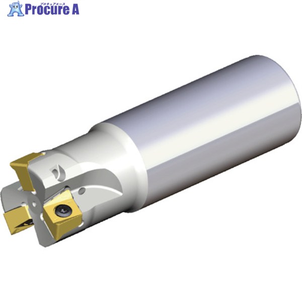 TAEGUTEC ミーリング裁断師 チェイス4圧砕機 4N TE90-332-W32-11 1本 ▼439-8454