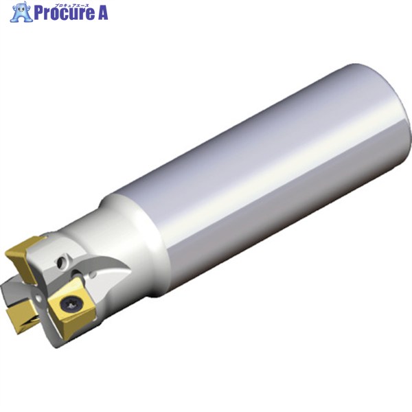 TAEGUTEC ミーリングカッター チェイス4ミル 4N TE90-332-W32-09 1本 ▼440-0022