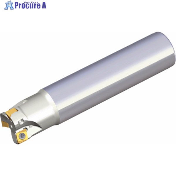 TAEGUTEC ミーリングカッター チェイス4ミル 4N TE90-433-32-06-L220 1本 ▼440-0099
