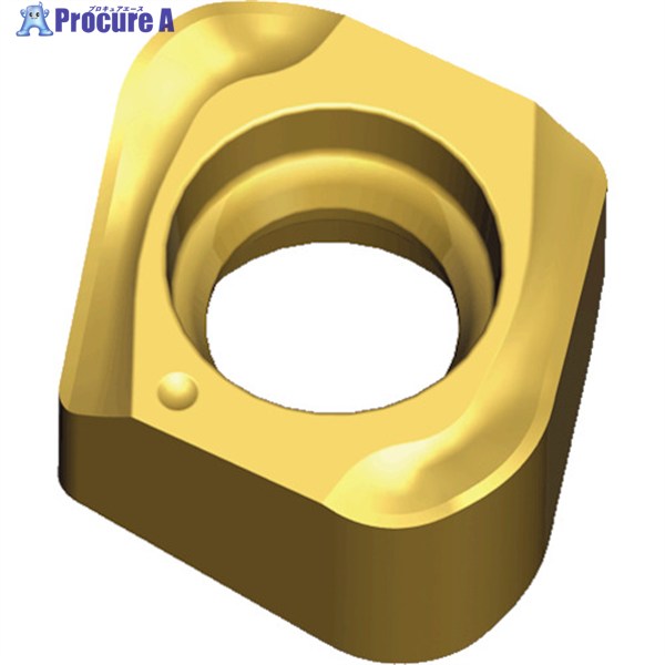 TAEGUTEC ミーリング産業用手当て チェイス4圧砕機 4NKT 040212R-HF    TT2510 10個 ▼441-5770