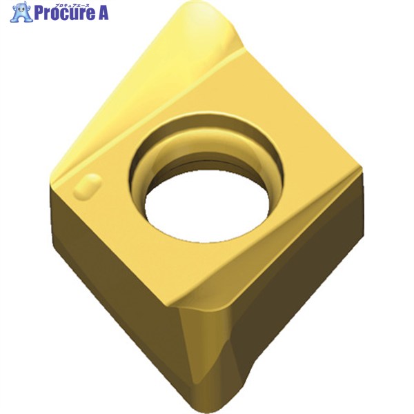 TAEGUTEC ミーリング加工用チップ チェイス4ミル 4NHT 090408R-ML    TT9080 10個 ▼441-5789