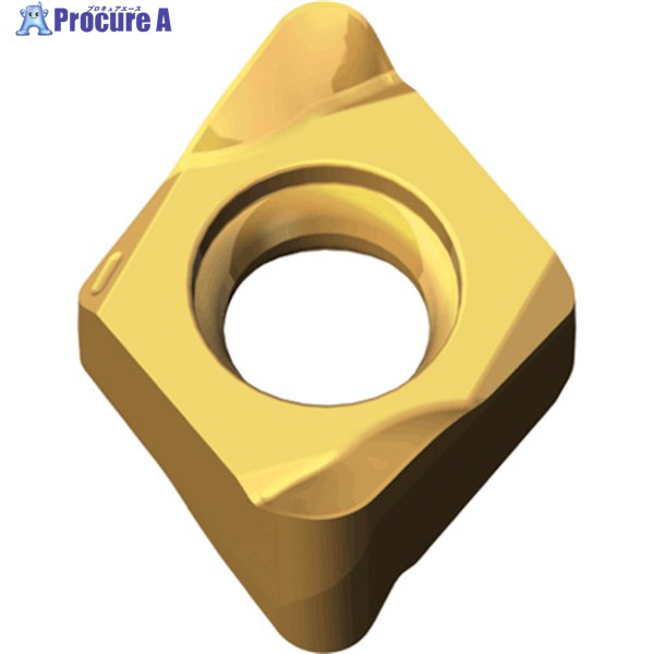 TAEGUTEC ミーリング加工用チップ チェイス4ミル 4NHT 060315R-F TT9080 10個 ▼442-3538 |プロキュアエース