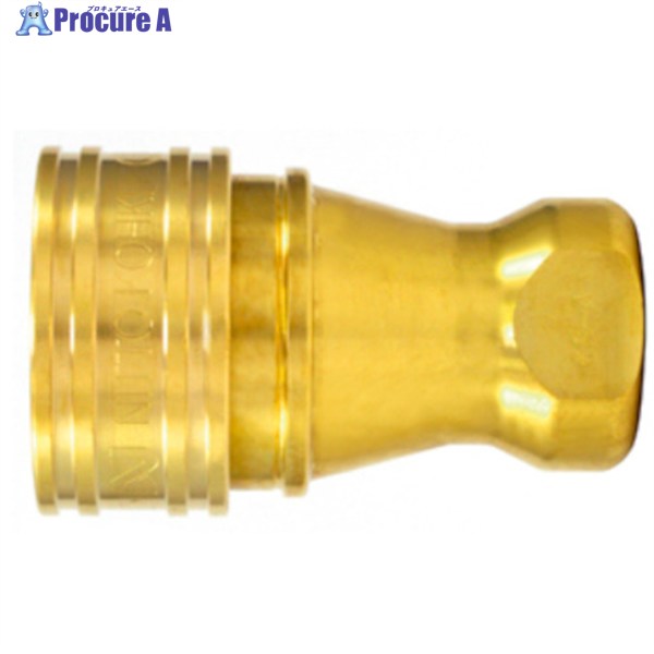 日東 SPカプラ 印字機A 真ちゅう製 ふっ素天然ゴムFKM X-100(07919) 6S-A BRASS FKM 1個 ▼267-9937  ●KO521