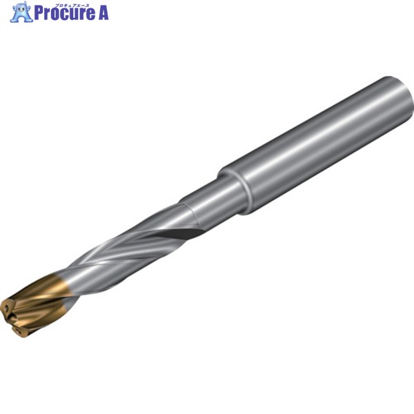 SANDVIK コロドリル860‐GM 超硬ソリッドドリル(720) X1BM 860.1-0610-031A1-GM  X1BM (720) 1本 ▼351-1036  ●KO521