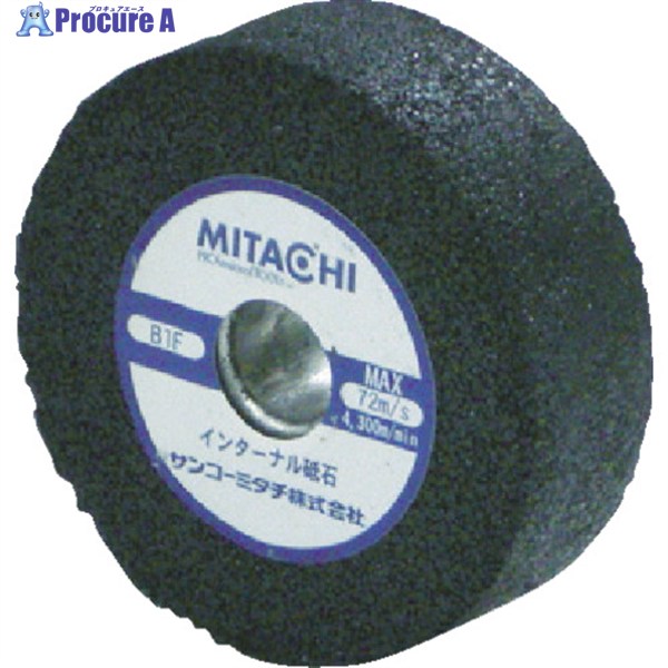 ミタチ インターナル砥石 Φ48×16 ネジ無し 734816AMP 20個 ▼363-4728