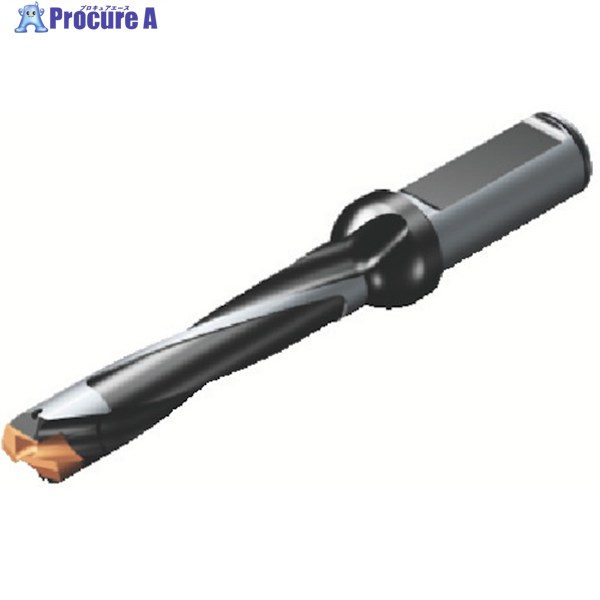 SANDVIK コロドリル870 先端取り替えっこ式せん孔機(446) 870-1100-8L16-5 (446) 1本 ▼825-0902  ●KO521