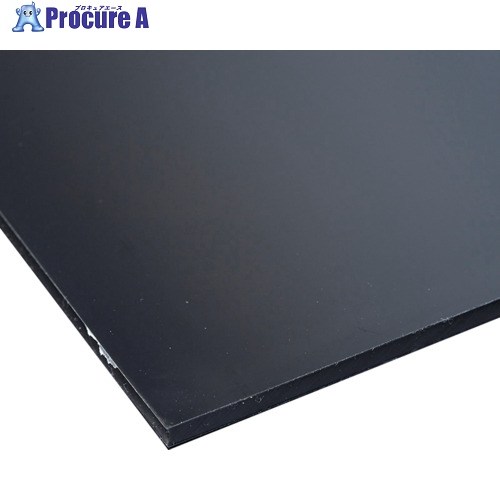 EXSEAL ゴミホコリ除去シート 半導電ゲルシートNS 硬度30 500×500×3.0mm 黒 ES00-19027 1枚 ■▼717-0280 【送料都度見積】