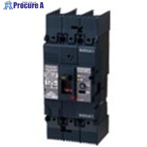 Panasonic 漏電ブレーカ BJWA-125型 3P3E 125A 30MA BJWA31253 1台 ■▼716-0017 【送料都度見積】｜プロキュアエース