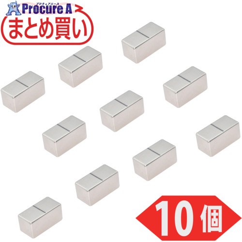 TRUSCO まとめ買い ネオジム磁石 角形 20mm×10mmX10mm 10個入 TN1020-K-10P 1袋 ▼691-5459