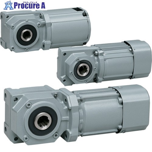 ニッセイ GTR MINI SERIESインダクションギアモータ(15W～90W) 同心中空軸 同心中実軸 F2タイプ F2SM-15-20-T90 1台 ▼718-5431