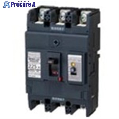 Panasonic 短絡ブレーカ BKWA―225型 3P3E225A BKWA32259 1台 ■▼715-6833 【貨物輸送都度積もり書き】