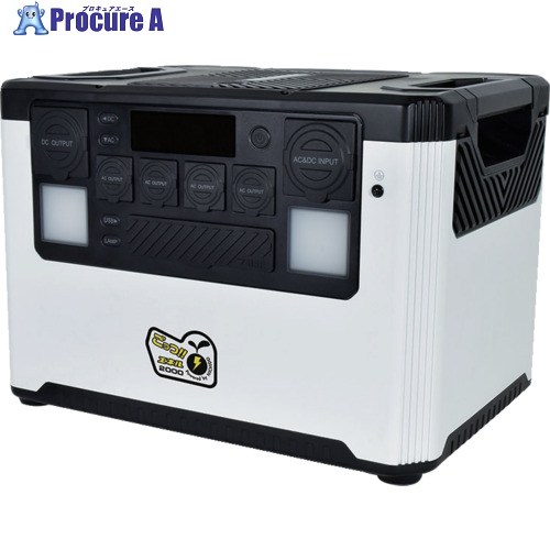 NICHIDO 携帯型ワット数 ごっつエネル2000 LPE-E3800L 1台 ■▼593-3598 ※車上乗り合い船