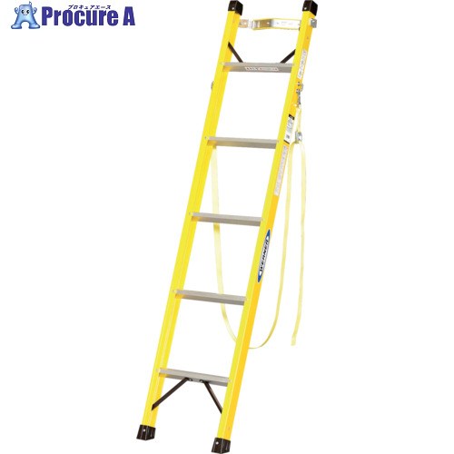 PiCa FRP製1連掛けはしご FRP-1L型 ポールグリップ付き添い人 3.0m FRP-1L30G 1台 ■▼175-2424 ※車上乗り合い船