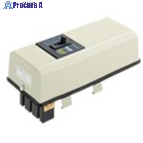 Panasonic ブレーカ付ターミナルプラグ ボックスタイプ 3P100A200V E付 DH2887K2 1個 ■▼732-6412 【送料都度見積】｜プロキュアエース 67,593円