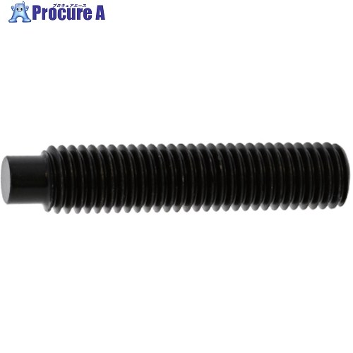 SUNCO HS(東工舎(先っぽ 12×20 (200本入) A0-00-503T-0120-0200-00 1箱 ■▼270-9517 【貨物輸送都度積もり書き】