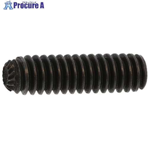 SUNCO HS(UNC(ギーザ先 アンブラコ 1/4-20X1/4 (100本入) A0-00-553P-8020-8020-00 1箱 ■▼271-2680 【貨物輸送都度積もり書き】