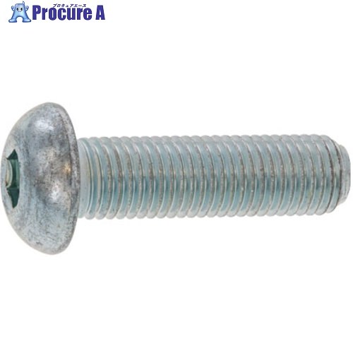 SUNCO 名取り草CAP(所せまい P-1.25 12×35 (100本入) A0-00-1004-0120-0350-00 1箱 ■▼271-4224 【貨物輸送都度積もり書き】