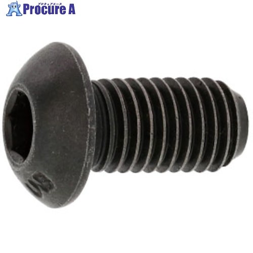 SUNCO 名取り草CAP(UNF アンブラコ 1/4-28X1/2 (100本入) A0-00-104P-8020-8040-00 1箱 ■▼272-0528 【貨物輸送都度積もり書き】