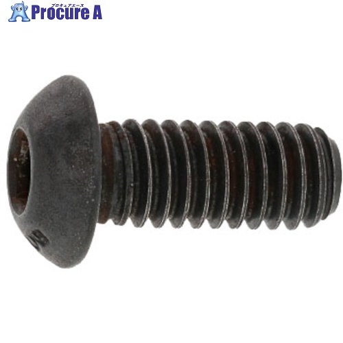SUNCO 名取り草CAP(UNC アンブラコ 1/4-20X5/8 (100本入) A0-00-103P-8020-8050-00 1箱 ■▼272-2101 【貨物輸送都度積もり書き】