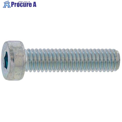 SUNCO SUS316L 置き目頭顱CAP 3 X 6 (1000本入) A0-12-L000-0030-0060-00 1箱 ■▼395-5742 【貨物輸送都度積もり書き】